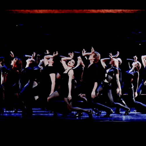 (1200 x 1200 px) (25).png