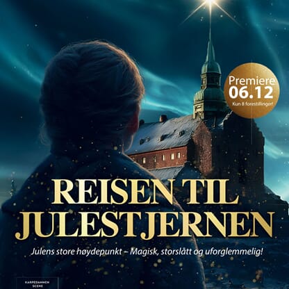 REISEN TIL JULESTJERNEN 2025